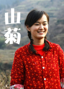 的开头的成语